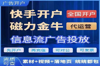 某电商平台的SEM策略与效果展示